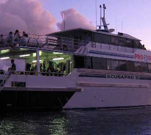 The Great Barrier Reef