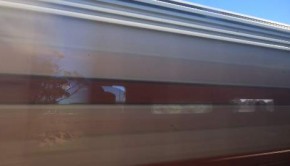 The Ghan train
