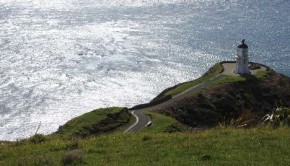 North to Cape Reinga