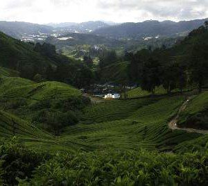 Malaysia: Highlands to Langkawi