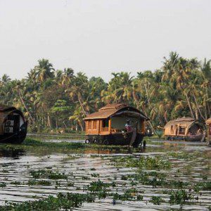 Kerala, the heat and the wonder of Southern India: part one